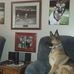 Casey Hass - Facebook