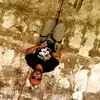 caseyhendrix231 - @caseyhendrix231 - TikTok
