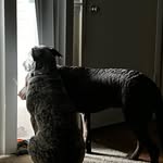Casey Hoover - @therealchoov - Instagram