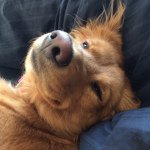 Casey Hoover - @casey_h84 - Instagram