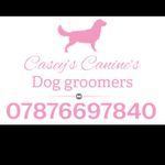 Casey Humphrey - @caseys_canines - Instagram