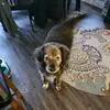 caseyhynes33 - @caseyhynes3 - TikTok