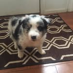 Casey Ives - @princessc266 - Instagram