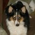 Casey Ives - Facebook