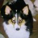 Casey Ives - Facebook