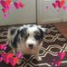 Casey Ives - Facebook