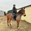 caseyiveson_eq - @caseyiveson_eq - TikTok