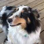 mrs.ives - @caseyives419 - Instagram