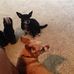 Casey Jacoby - Facebook
