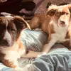 Casey and Jasper - @jaspercasey2024 - TikTok