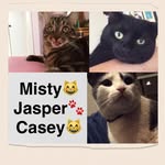 @jasper.misty.casey - Instagram