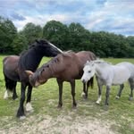 🩵ℂ𝔸𝕊𝔼𝕐 𝕁𝔸𝕐ℕ𝔼🩵 - @xc.equinex - Instagram