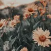 Casey Jayne - @caseyjayneedits - TikTok