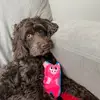 caseyjoe1976 - @caseyjoe1976 - TikTok