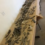Casey Johnstone - @morrisondinodiggers - Instagram