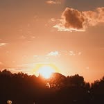 Casey Jonas - @caseytheduck01 - Instagram