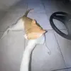 caseykaye_24 - @ckm_241 - TikTok