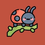 Casey Kearney - @debugoboe - Instagram