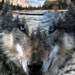 Casey Keech - Facebook