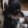 Shawn Casey Kerns - @shawn.casey.kerns - TikTok