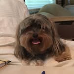 Casey Kinnamon - @caseykinnamon - Instagram