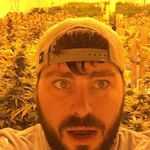 Casey Knutson - @casey_knutson86 - Instagram