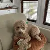 Kyle Casey - @kyle.casey36 - TikTok