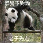 Casey Lam - @lamcasey - Instagram
