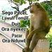Casee Levender - Facebook