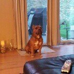 Casey McCullough - @crm0454 - Instagram