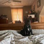 Casey McDaniel - @kaseomatic - Instagram