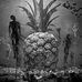 Casey McDonald - Facebook