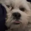Casey - @casey.mcelroy - TikTok
