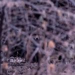 Casey McKay Photography - @casey_mckay_photography - Instagram