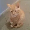 Casey McLean - @caseymcl379 - TikTok