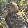 Casey Mears - @casey.mears - TikTok