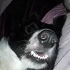 Casey Michael - @2156109574 - TikTok