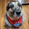 caseyscottminer - @furrioni0i - TikTok