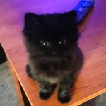 Casey Mooney - @cmase_y - Instagram