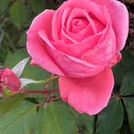 Casey Moreland - Facebook