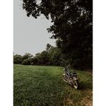 Casey Moreno - @caseymoreno826 - Instagram