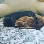 Casey Mueller - @casey.mueller.7792052 - Instagram
