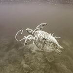 Casey Muller Creative - @caseymullercreative - Instagram