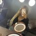 Kacy Mitchison - Facebook