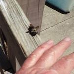 Casey Myrick - @myrick.casey - Instagram