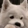 Namcasey - @namcasey - TikTok