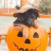 Kasey Nesbit - @kasey.nesbit - TikTok
