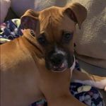 Casey Newberry - @newberry7726 - Instagram