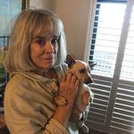 Carol Casey-newell - @carolcaseynewell - Instagram