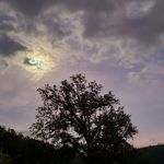 Casey Newell - @emtnewell - Instagram